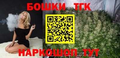 МДПВ Дубна