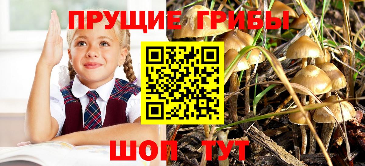 Галлюциногенные грибы мицелий Курчатов