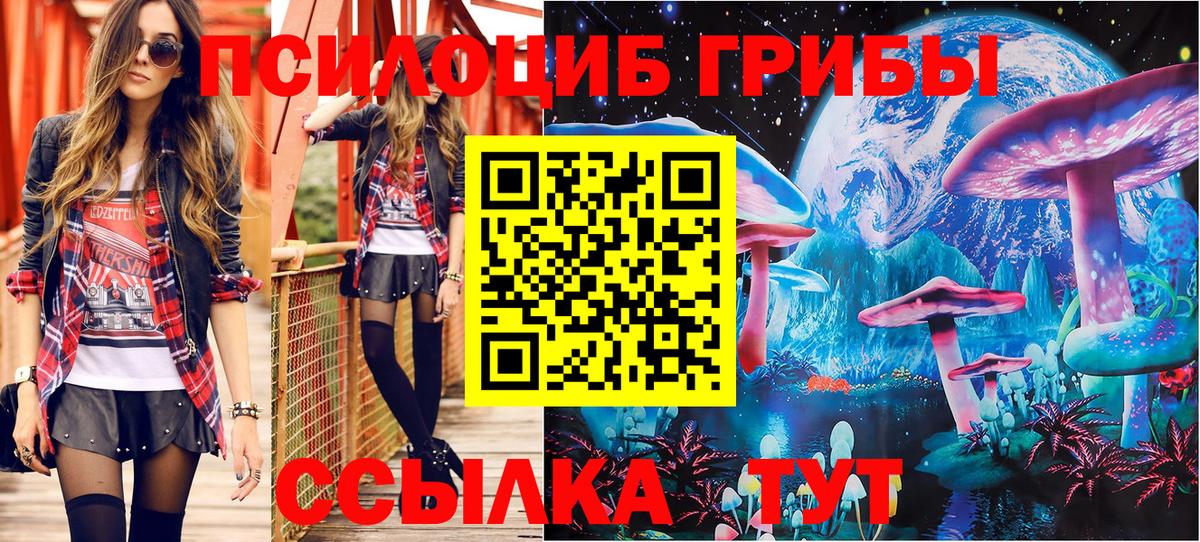 Курчатов  Псилоцибиновые грибы Cubensis  Вход с VPN 